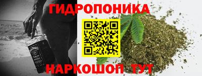 крисы Балахна