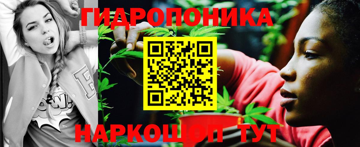 Воронеж  Марихуана VHQ  Вход с VPN  Конопля марихуана  Шишки марихуана THC 21% 
